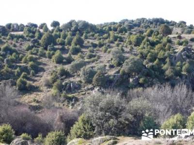 Puentes del Río Manzanares;senderismo gratis;viajes a medida